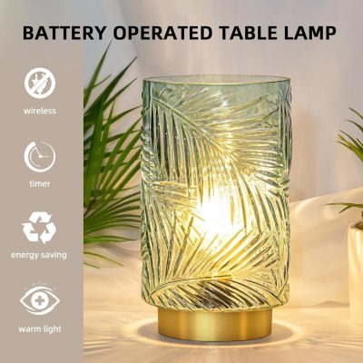 Battery Operated Table Lamp, Cordless Lamps for Home Decor, Battery Powered Nightlight with LED Bulb with Timer, Decorative Lights for Living Room Bedroom Tabletop Entryway Centerpiece Gift(Small LG)